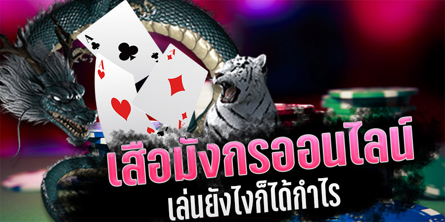 วิธีเล่นเสือมังกร ให้ได้เงิน - "How to play Dragon Tiger to make money"