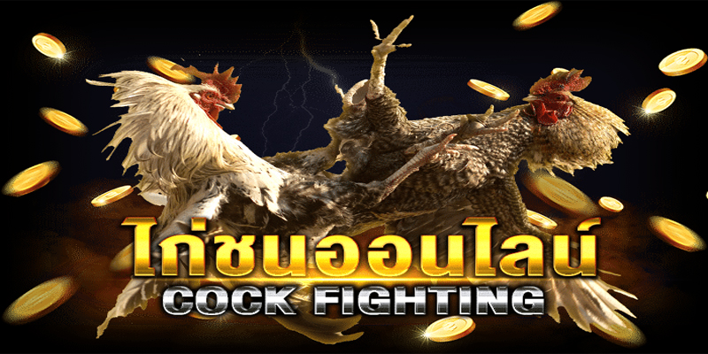 เกมชนไก่-"cockfighting game"